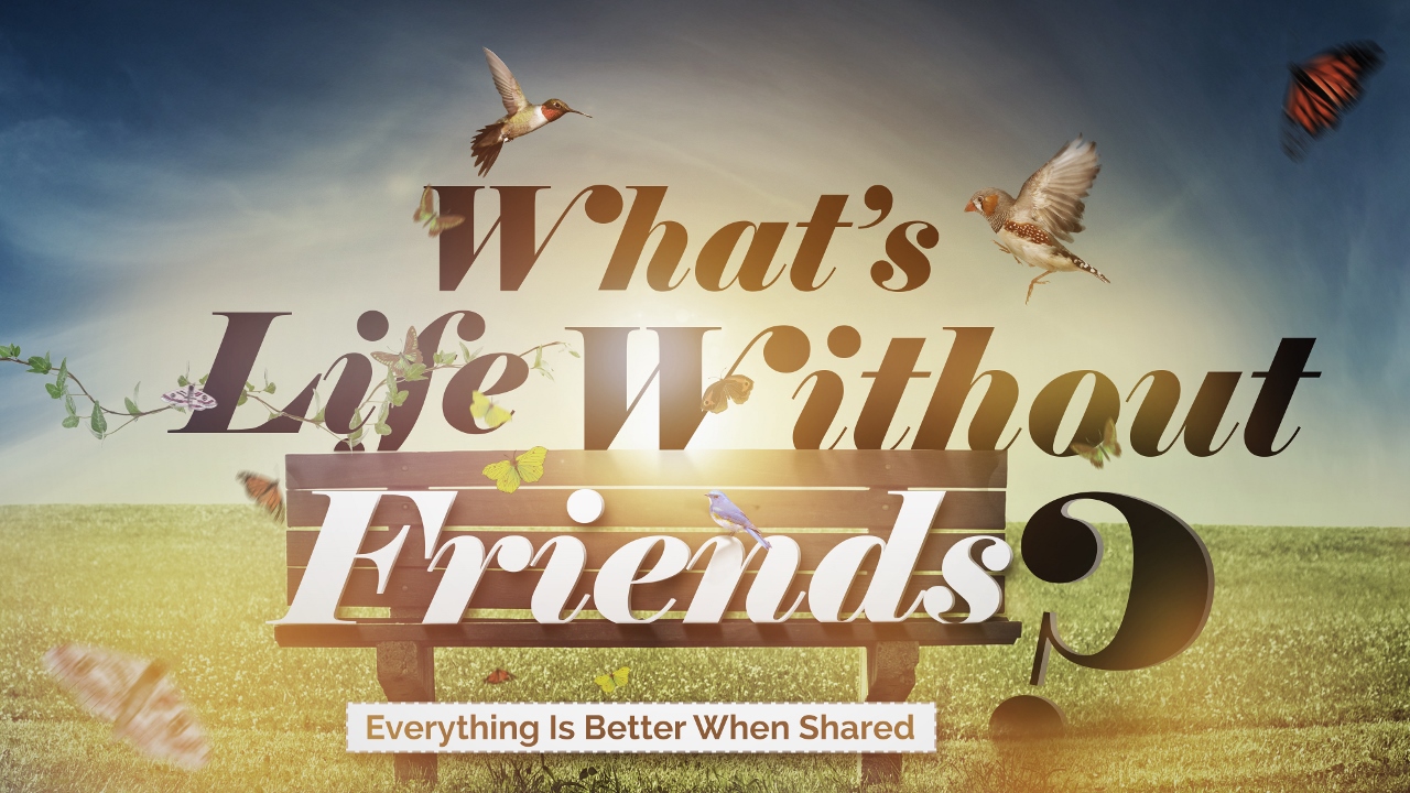 what-s-life-without-friends-in3k8-media-red-book