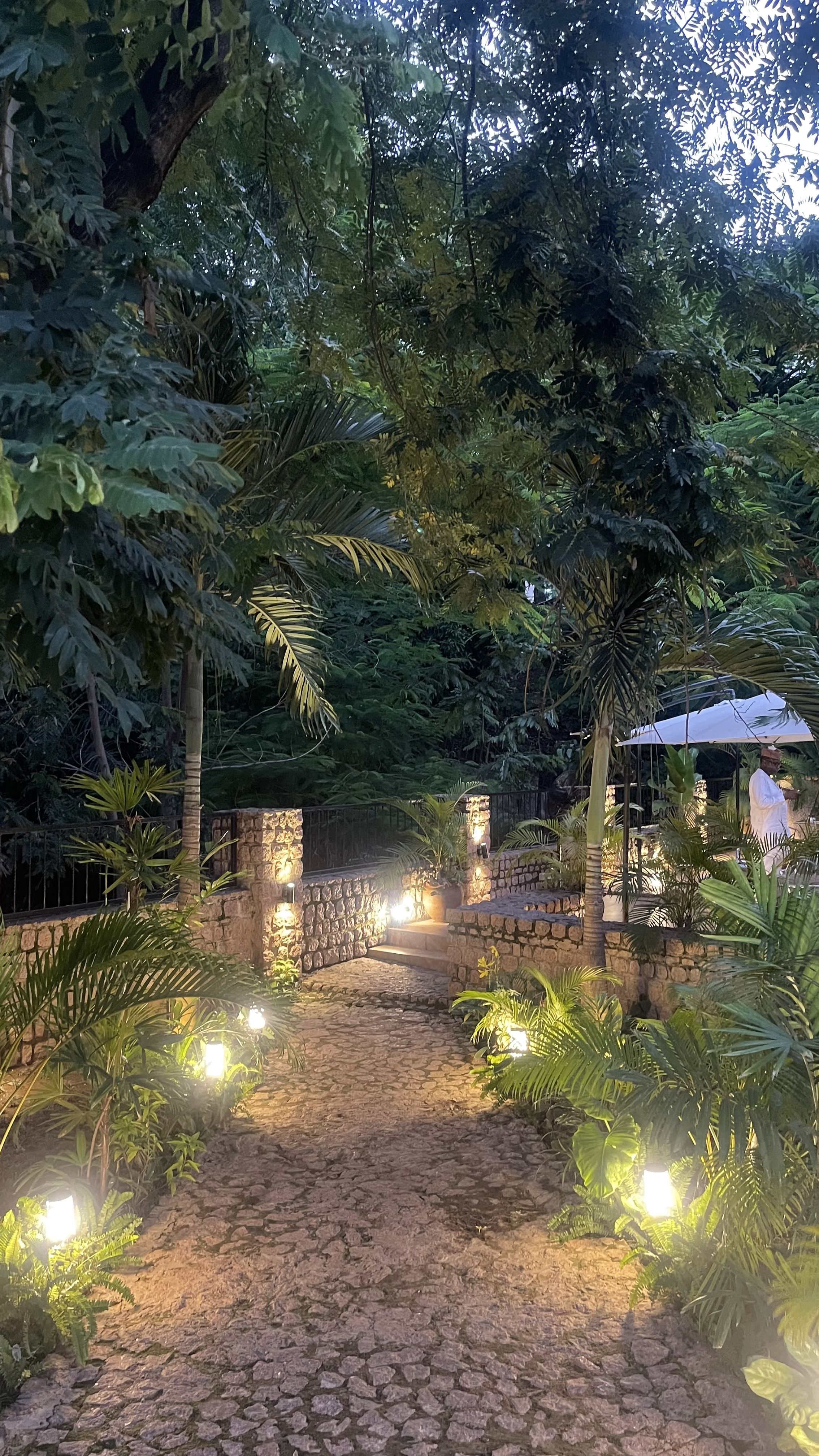 The dazzling entrance to Lantees at night